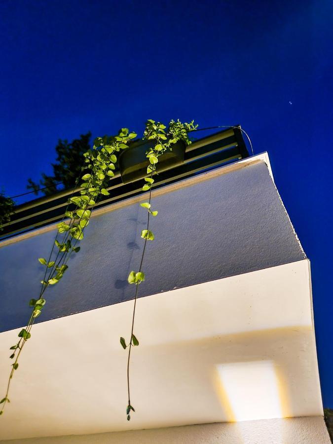 Residence ǁ Corino Biograd Na Moru Extérieur photo